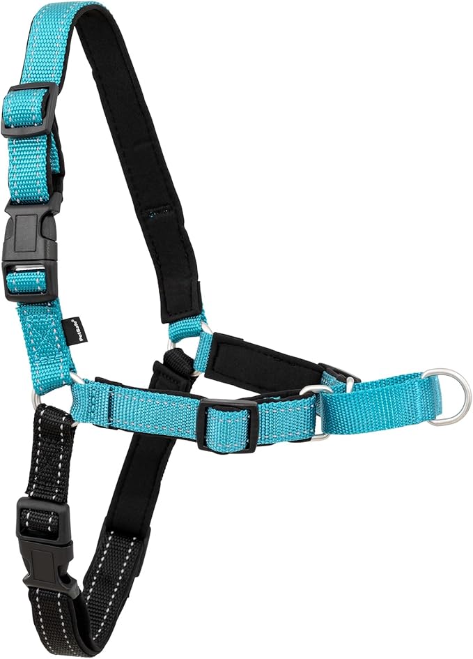PetSafe Deluxe Easy Walk Harness - Trainer-Trusted Dog Chest Harness with Breathable Martingale Loop Design - Helps Stop Pulling with No Choking & Gagging - Small - Ocean