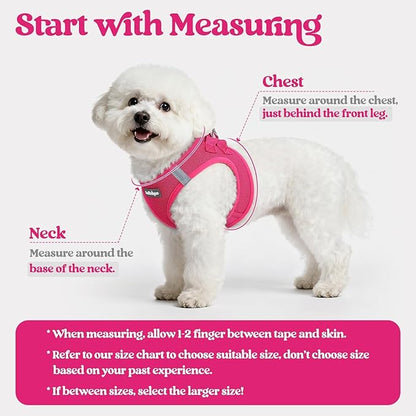 rabbitgoo Dog Harness Small Sized and Leash Set, Step in Soft Light Puppy Vest, Breathable Mesh Pet Harness, Reflective for Safe Easy Walking, Rose Red M