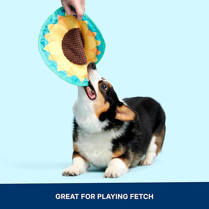 Barkbox Sunflower Flinger Flying Disc Dog Toy | Fluff-Free Crinkle Disc with T-Shirt Rope Edge | Durable Fetch Toy for Dogs & Puppies