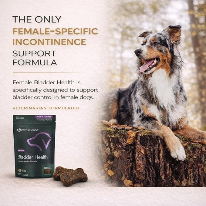 VetriScience Bladder Health Soft Chews for Dogs Bladder Control Supplement & Urinary Support - Incontinence Support Formula with Soy Protein & Red Clover, Chicken Flavor, 60 Count