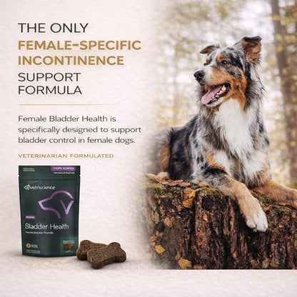 VetriScience Bladder Health Soft Chews for Dogs Bladder Control Supplement & Urinary Support - Incontinence Support Formula with Soy Protein & Red Clover, Chicken Flavor, 60 Count