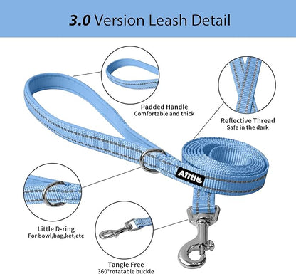 AIITLE Comfortable Dog Harness and Leash Set for Walking - Step in Vest Harness,Reflective Bands, Adjustable No Pull Puppy Essentials, for Small Dogs and House Cats Pure Blue XS