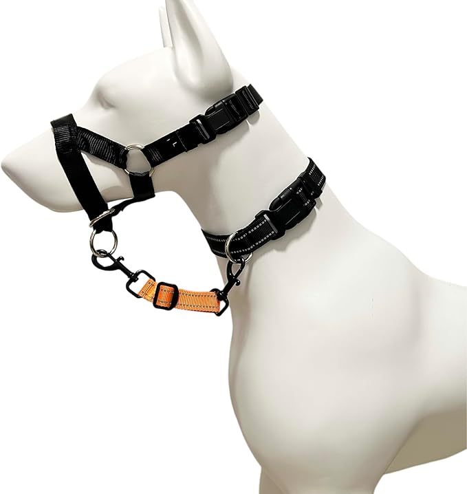 Dog Collar Safety Clip, Reflective Double-Ended Backup Connector for Harness to Collar, Adjustable Safety Clip for Prong, Pinch Collars, Prevents Escapes & Accidental Disconnection
