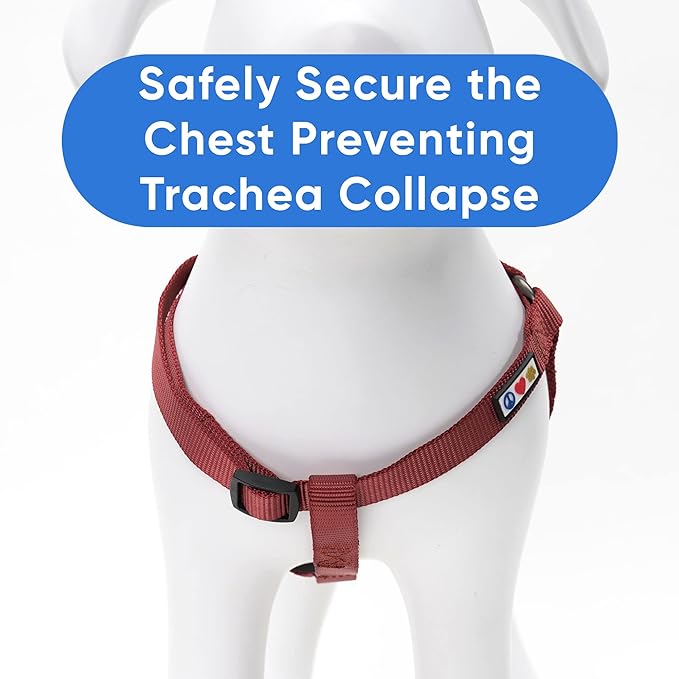 Pawtitas Solid Step-in Dog Harness – Adjustable No-Pull Vest for Puppies to Seniors, Safe & Comfortable XS Marsala
