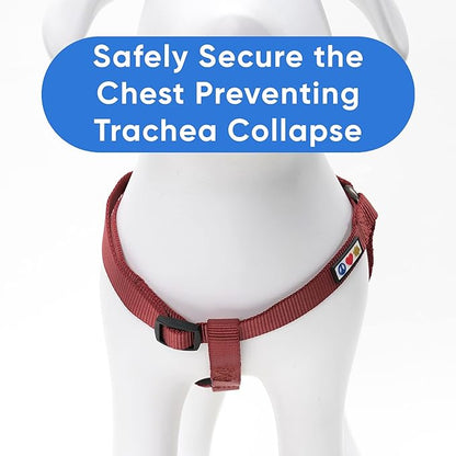 Pawtitas Solid Step-in Dog Harness – Adjustable No-Pull Vest for Puppies to Seniors, Safe & Comfortable L Marsala