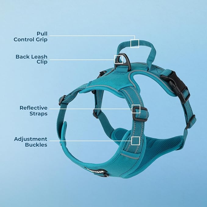Voyager Dog Harness Dual Leash Attachment No-Pull Control Adjustable Soft but Strong Pet Harness for Medium and Large Dogs with 3M Reflective Technology, Turquoise Nylon, XL (Chest: 28-37")