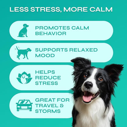 Dog Calming Chews with Hemp - 17,810 mg Hemp Oil per Pack - Soft Calming Chews for Dogs with Melatonin - Relaxation Support for Travel, Grooming, Separation, Thunder, Fireworks - 130 Duck Bites
