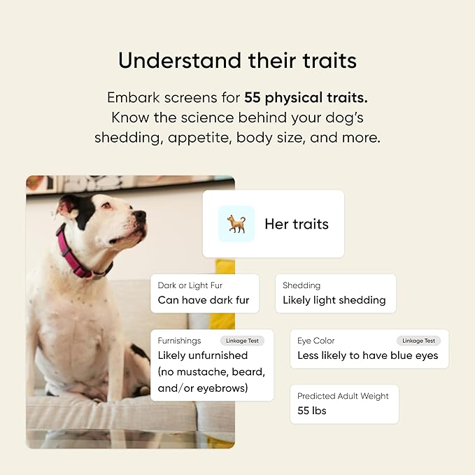 Embark Breed & Health Kit - Dog DNA Testing Kit - Discover Breed, Ancestry, Relative Finder, Genetic Health, Traits, Allergy Risk Scores (Pack of 2)