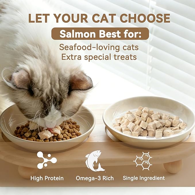 Freeze-Dried Salmon Cat Treats for Skin & Coat Health, 4oz, Single Ingredient High Protein Reward Snacks for Pets, Grain & Gluten Free