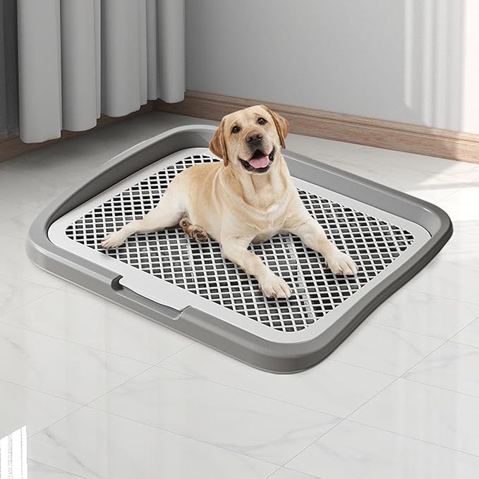 Baoblaze Dog Toilet Puppy Pad Holder Supplies Non Slip with Column Dog Pee Holder Training Pad for Bunny Home Dorm Room, Gray