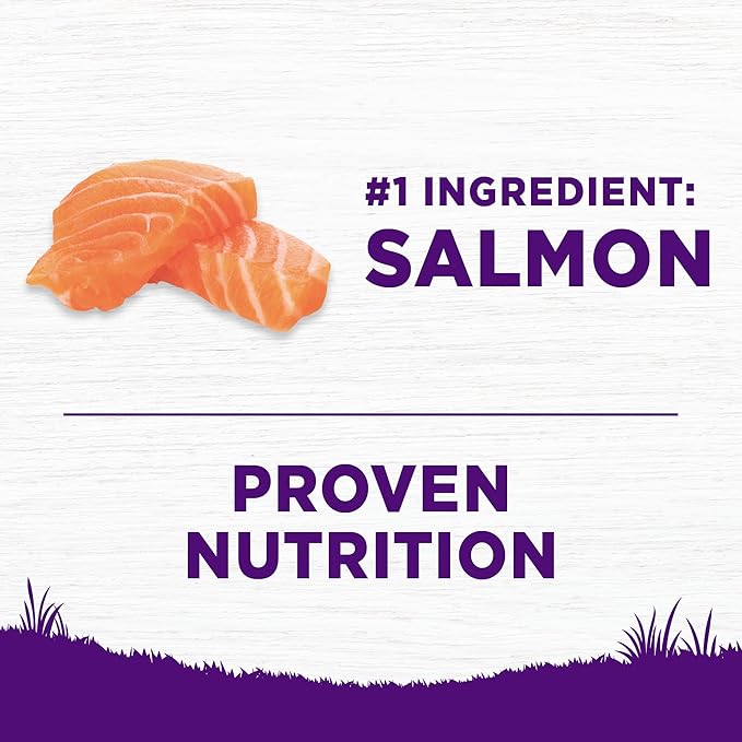 Wellness Complete Health Sensitive Skin and Stomach Dry Dog Food, Wholesome Grain Kibble, Natural, Chicken Free, Salmon and Rice Recipe, 24 lb Bag