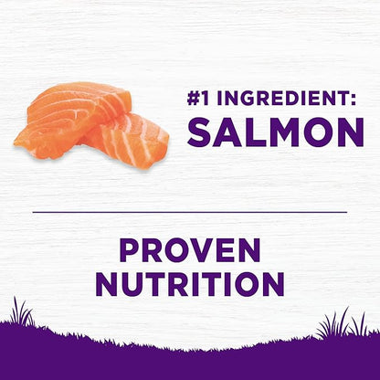 Wellness Complete Health Sensitive Skin and Stomach Dry Dog Food, Wholesome Grain Kibble, Natural, Chicken Free, Salmon and Rice Recipe, 38 lb Bag