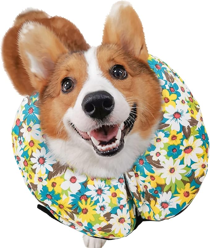 Protective Inflatable Collar for Dogs and Cats - Soft Pet Recovery Collar Does Not Block Vision, Prevents Pets from Touching Stitches, Wounds and Rashes (Floral - 2, Neck 13" - 17")