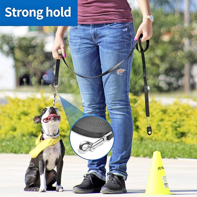 BAAPET 15/20/30/50/100 ft Long Dog Training Leash with Clickers for Small, Medium and Large Dogs or Cats (30 Feet, Springgreen)