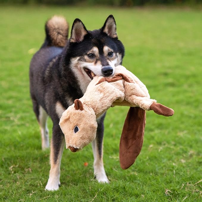 Best Pet Supplies Squeaky Dog Toys with Soft Durable Fabric for Small, Medium and Large Pets Interactive Toy for Indoor Play, Supports Active Biting and Play - 4 Figures, Large