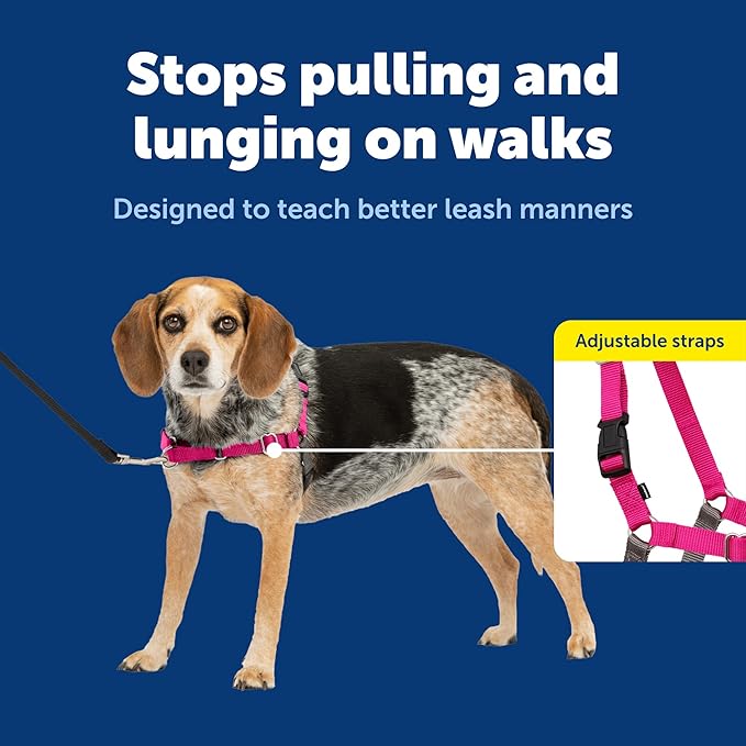 PetSafe Easy Walk Harness for Dogs - Pull-Free Walks - Martingale Loop Design - Front Chest Leash Attachment - Adjustable Comfort Straps - Breathable Harness Design - Small/Medium, Raspberry/Gray