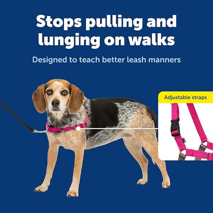 PetSafe Easy Walk Harness for Dogs - Pull-Free Walks - Martingale Loop Design - Front Chest Leash Attachment - Adjustable Comfort Straps - Breathable Harness Design - Small/Medium, Raspberry/Gray