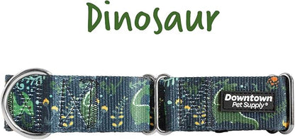 Downtown Pet Supply - Martingale Collar for Dogs - Dog Training Collar - Big, Wide & Thick Dog Collar - Escape-Proof, Weatherproof, Durable and Comfortable - Dino - Extra Large Dog Collar