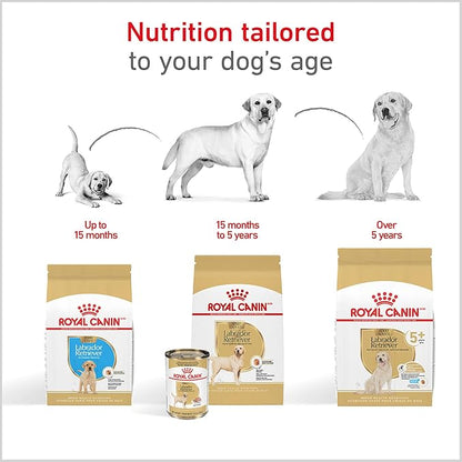 Royal Canin Labrador Retriever Adult Dry Dog Food, 30 lb bag