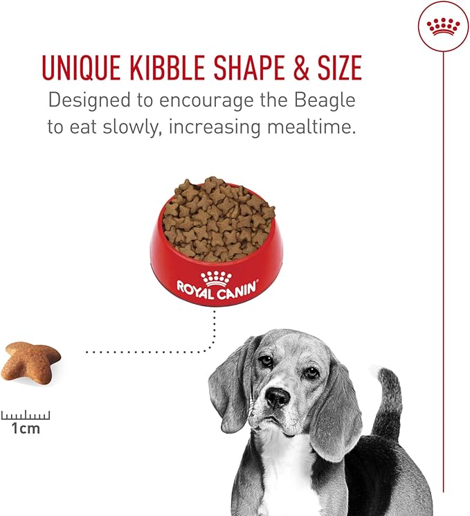 Royal Canin Beagle Adult Dry Dog Food, 6 lb bag
