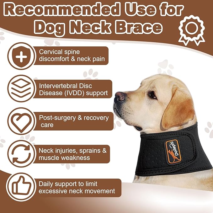 Dog Neck Brace with Hot/Cold Compress, Cervical Spine Support Collar for Dogs with IVDD, Neck Pain, Injury & Post-Surgery Recovery(L)