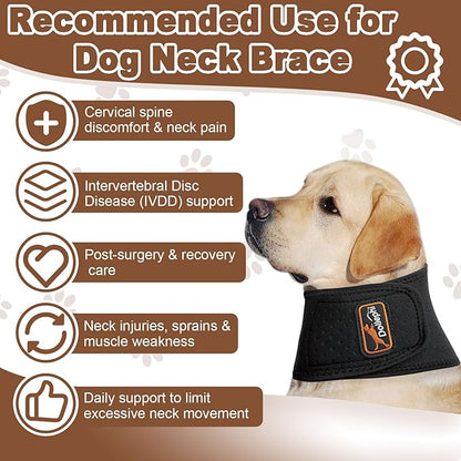 Dog Neck Brace with Hot/Cold Compress, Cervical Spine Support Collar for Dogs with IVDD, Neck Pain, Injury & Post-Surgery Recovery(L)
