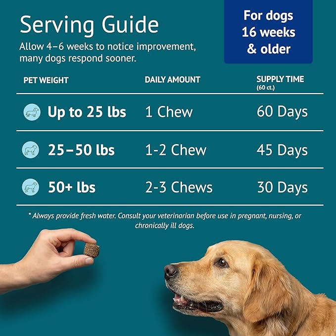 Multi Dog Chews – Comprehensive Health Supplement with Glucosamine, Probiotics, Salmon Oil, Ashwagandha & Mushrooms – Daily Well-Being, Skin & Coat, Digestion and Vitality Support