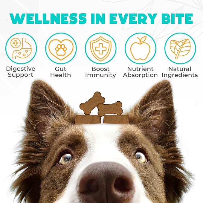 Probiotics for Dogs Chews 150PCs - Digestive, Gut Health & Diarrhea Support - Chews for Dogs - US Formula with Probiotics, Enzymes & Natural Ingredients - Duck