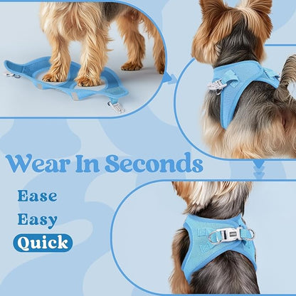 rabbitgoo Small Dog Harness, Step-in Soft Mesh Puppy Vest with Safety Buckle, Breathable Reflective Pet Harness for Extra Small Dogs, Blue XXS