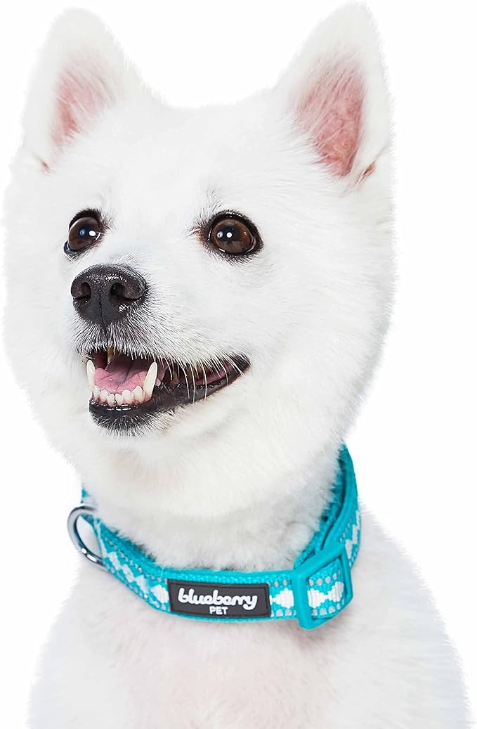 Blueberry Pet 3 Colors 3M Reflective Jacquard Neoprene Padded Adjustable Dog Collar, Peacock