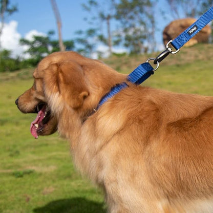 Hyhug Martingale Dog Collar Medium Blue |Escape - Proof Heavy Duty Nylon Durable No Slip, Ideal for Training & Daily Walks