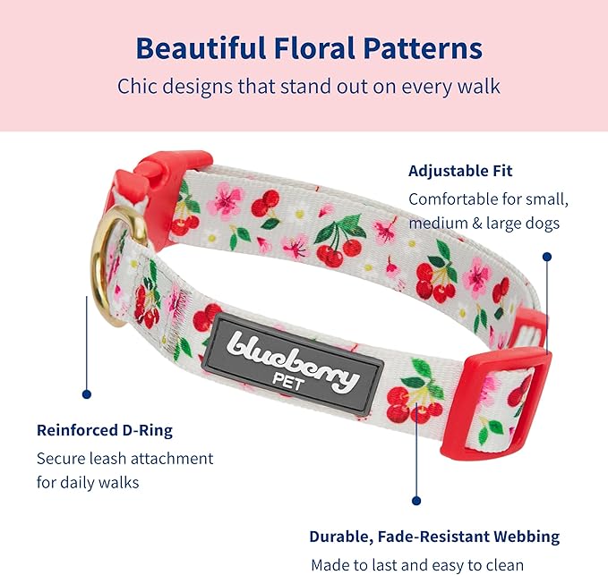 Blueberry Pet Dog Collar - Turquoise Floral Rose Print, Adjustable for Small Dogs, Neck 12"-16", Pink Puppy Collar with Eco-Friendly Buckles, Ideal Small Dog Collars for Female Dogs