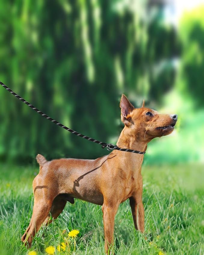 TagME 6ft Slip Dog Lead, No Pull Reflective Training Leash with Padded Handle, Professional Rope P-Leash for Small Medium Large Dogs, Heavy Duty Correction Lead for Walking & Training (Black)