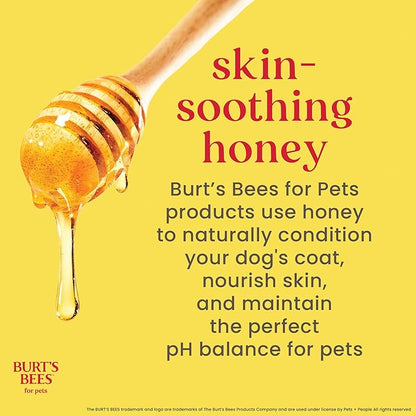Burt’s Bees for Pets Oatmeal Dog Shampoo with Honey, Soothing Dog Shampoo for Itchy and Sensitive Skin, pH Balanced Formula that Gently Cleans and Moisturizes Dog Coats, 16 Fl Oz - 6 Pack