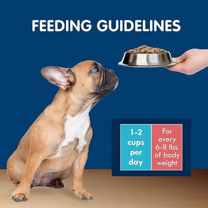 Blue Buffalo Delights Natural Adult Small Breed Wet Dog Food Cups, in Gravy, Chicken and Prime Rib 3.5-oz (12 Pack- 6 of Each Flavor)