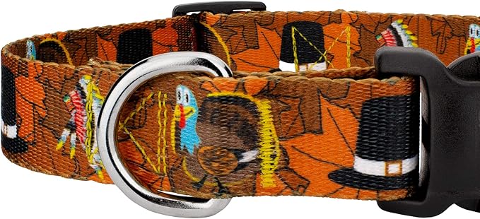 Country Brook Petz - Thanksgiving Tradition Everyday Dog Collar and Leash - Awesome Autumn Collection Featuring Designs You'll Fall for (1/2 Inch, Extra Small)