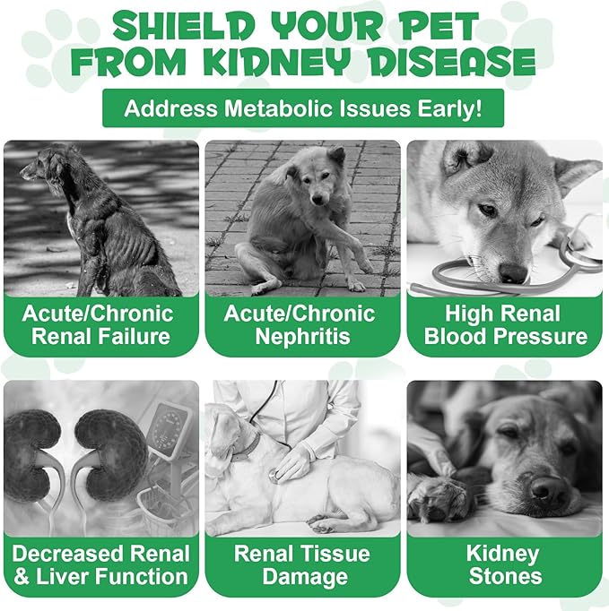 Kidney Support for Dogs, Kidney Support Herbal Supplement Drops Supports Healthy Kidney Function & Urinary Tract Health in Dogs Restoring Normal Appetite 2 oz