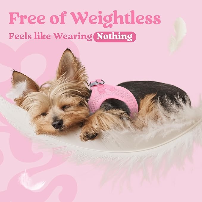 rabbitgoo Small Dog Harness, Step-in Soft Mesh Puppy Vest with Safety Buckle, Breathable Reflective Pet Harness for Small Sized Dogs, Light Pink XS