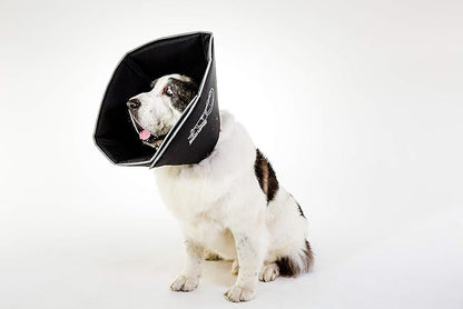 All Four Paws Comfy Cone Pet Cone for Dogs, Cats, XX-Large, Black - Comfortable Soft Dog Cone Collar Alternative for After Surgery, Wound Care, Spay, Neuter - Dog and Cat Recovery Elizabethan-Collar