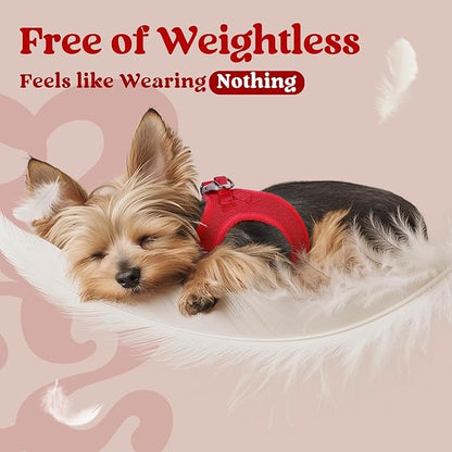 rabbitgoo Small Dog Harness, Step-in Soft Mesh Puppy Vest with Safety Buckle, Breathable Reflective Pet Harness for Small Medium Dogs, Red L