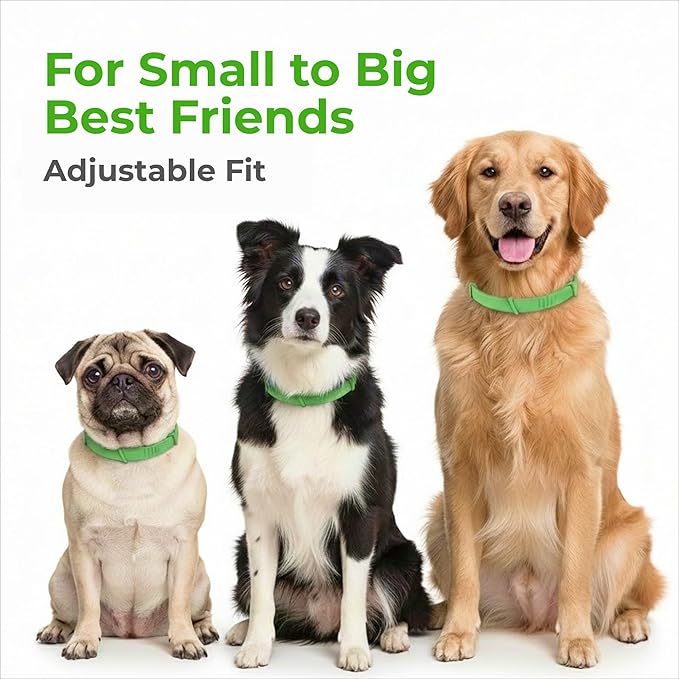 FurLife Flea and Tick Collar for Dogs – Waterproof Red Dog Collar, Pet Supplies for Tick and Flea Prevention for Dogs, Safe for All Breeds