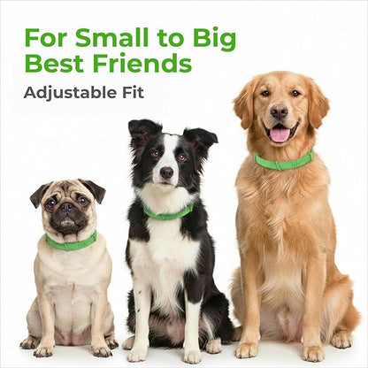FurLife Flea and Tick Collar for Dogs – Waterproof Red Dog Collar, Pet Supplies for Tick and Flea Prevention for Dogs, Safe for All Breeds