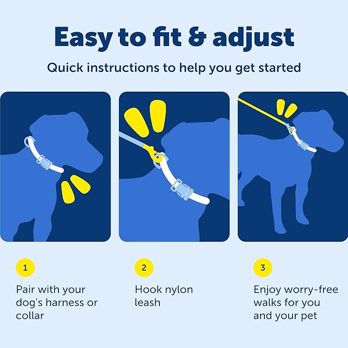 PetSafe Nylon Leash - Strong Nylon Dog Leash for Everyday Walks - Durable Pet Leash with Quick Attach Leash Clip - Comfortable Soft Grip - 4 Feet - Royal Blue