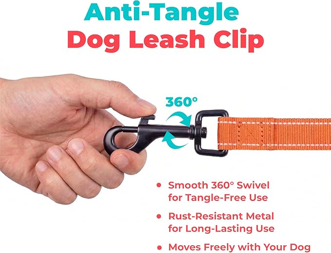 Best Pet Supplies Voyager Reflective Dog Leash or Collar with Neoprene Handle, for Small, Medium, and Large Breed Puppies, Cute and Heavy Duty for Walking, Running and Training - Orange (Leash), M