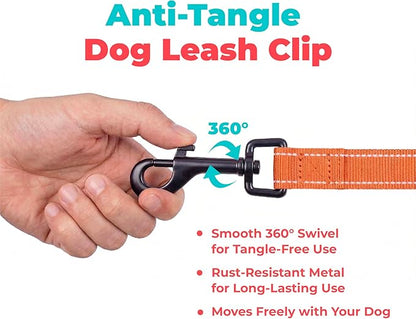 Best Pet Supplies Voyager Reflective Dog Leash or Collar with Neoprene Handle, for Small, Medium, and Large Breed Puppies, Cute and Heavy Duty for Walking, Running and Training - Orange (Leash), S