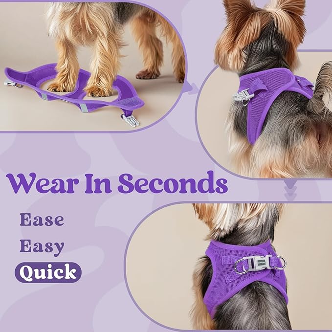 rabbitgoo Small Dog Harness, Step-in Soft Mesh Puppy Vest with Safety Buckle, Breathable Reflective Pet Harness for Small Sized Dogs, Purple XS