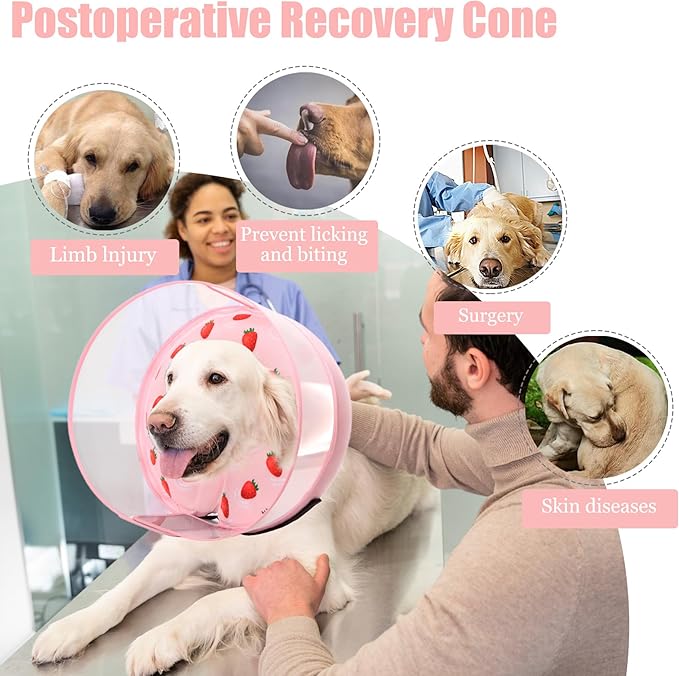 Inflatable Dog Cone Collar for Large Medium Small Dogs, Soft Dog Donut Collar Adjustable Recovery Cone for Pets After Surgery, Extra Enhanced Anti-Licking Guard Shield (Strawberry Print, Medium)