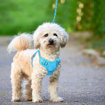 BARKBAY No Pull Dog Harness Large Reflective Dog Harness with Front Clip and Easy Control Handle for Walking Training Running with ID tag Pocket(Blue,XS)