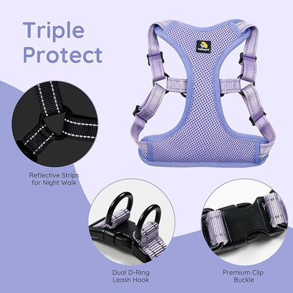 BELLA & PAL Adjustable Step-in Dog Harness, Puppy No-Pull Vest with Leash Set for XS/Small & Medium Dog, Breathable All-Weather Mesh, Reflective Strip, Secure Hook & Loop