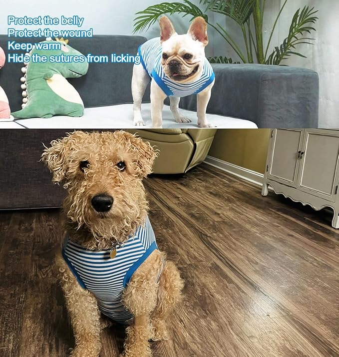 Dog Blue Recovery Suit for XX-Large Female Spay,Male Dog Surgery Suit,Narrow Blue-White XXL